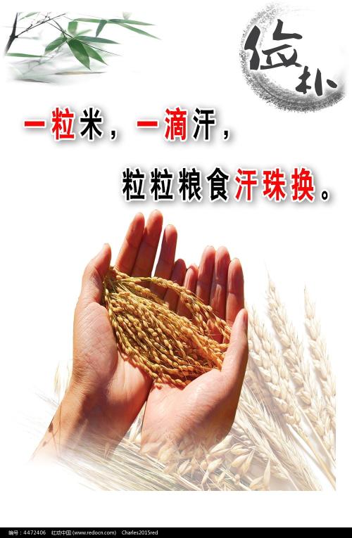 哪里哪里可以做假的项目管理师证